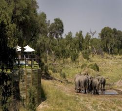 Unterk�nfte - Savute Elephant Camp